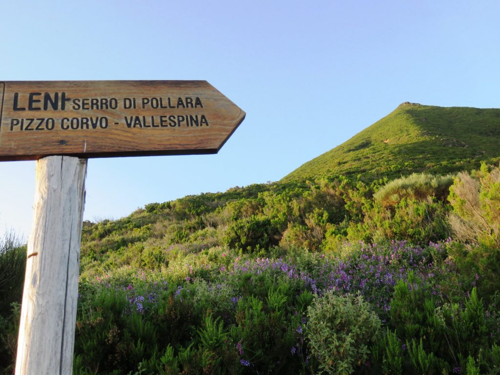 Salina